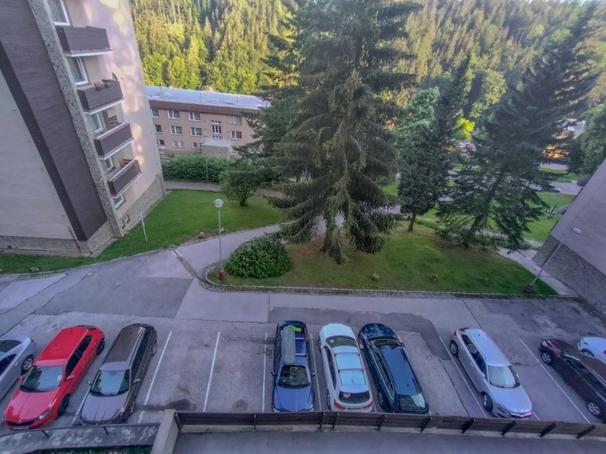 Apartmánek Protěž Janské Lázně Esterno foto