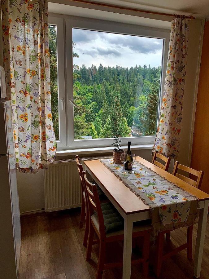 Apartmánek Protěž Janské Lázně Esterno foto