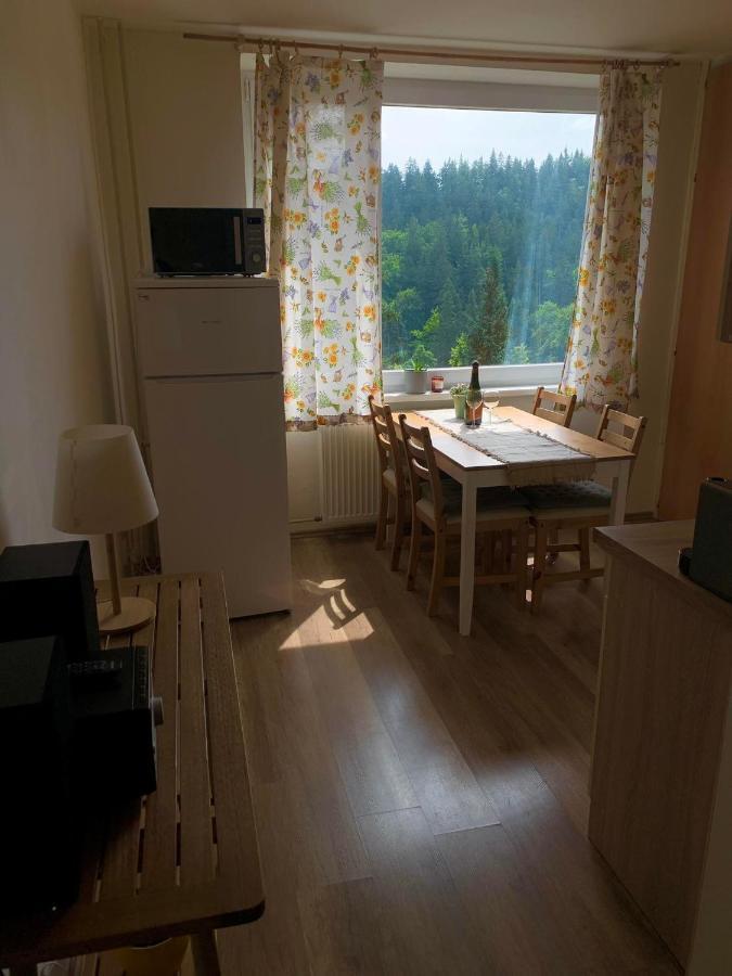 Apartmánek Protěž Janské Lázně Esterno foto